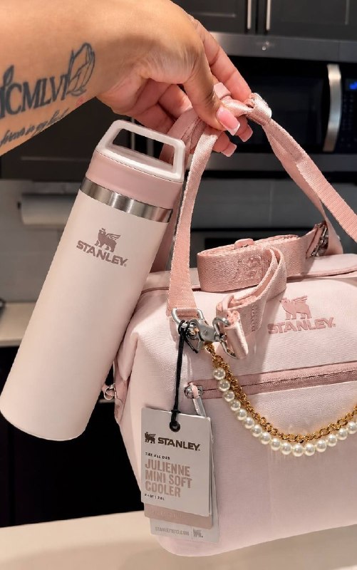 Stanley cooler bag