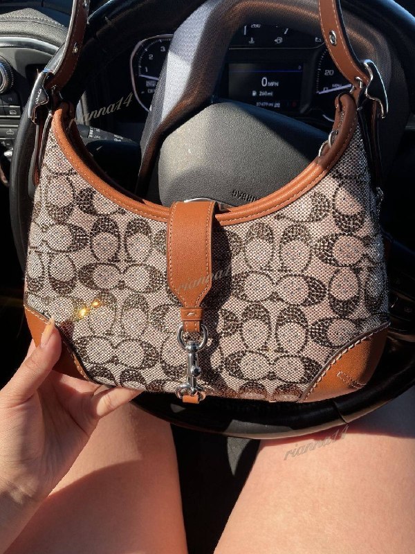 Coach Crystal Signature Jacquard bag