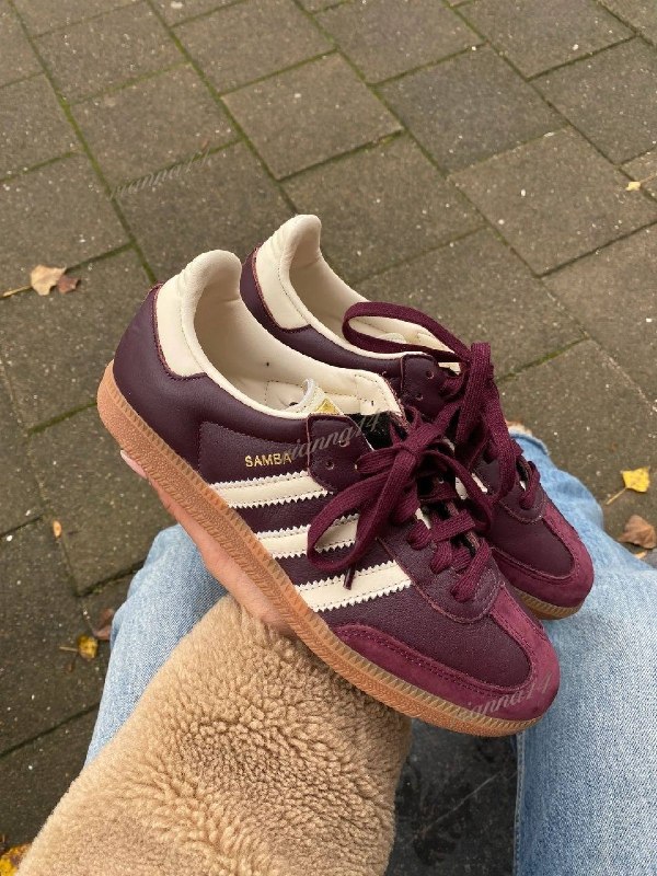 Adidas Samba Maroon · Photo 3
